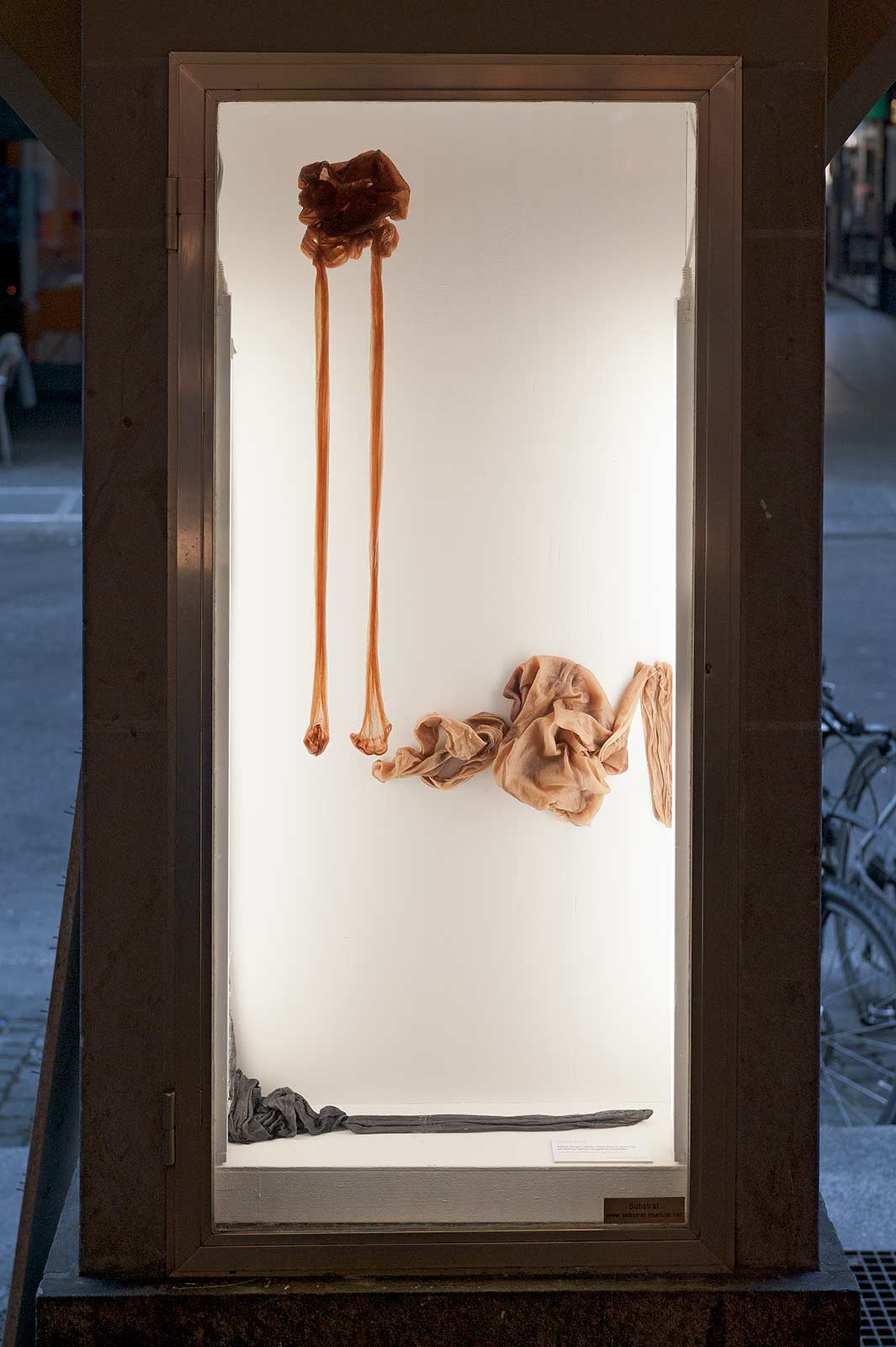 Art installation in a glass case with objects made of nylon tights and epoxy resin