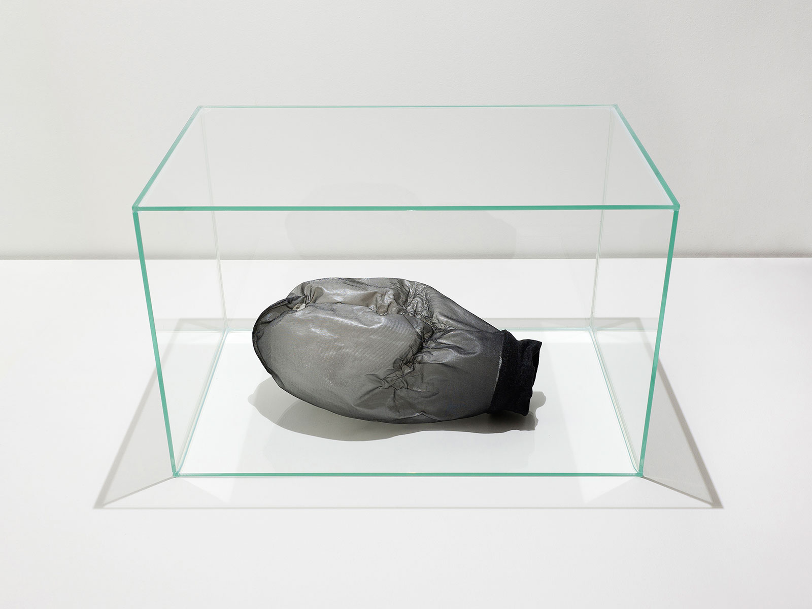 Black polyamide stocking with collapsed balloon and epoxy resin placed in a glass cube