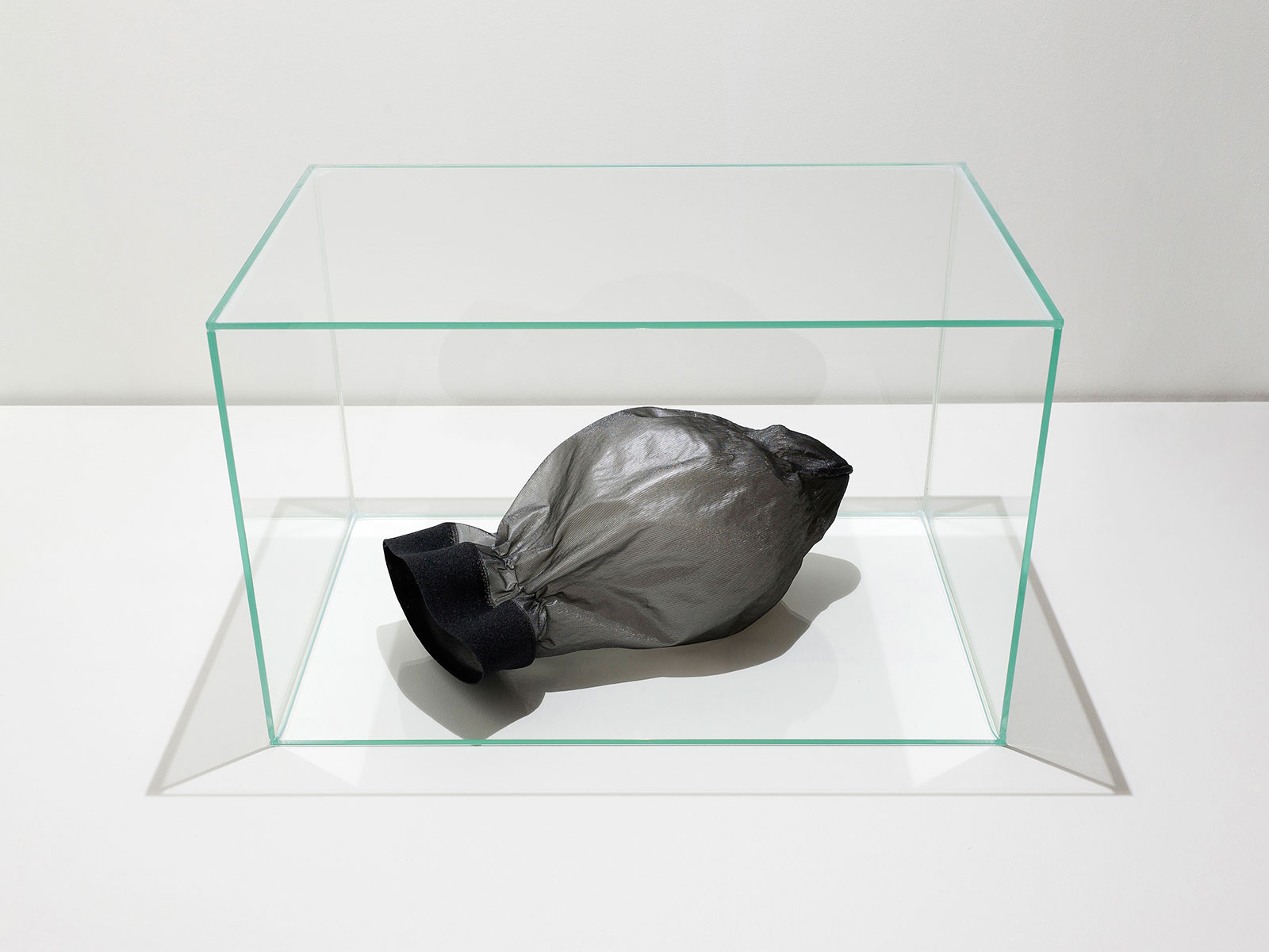 Black polyamide sock with collapsed balloon and epoxy resin, placed in a glass cube