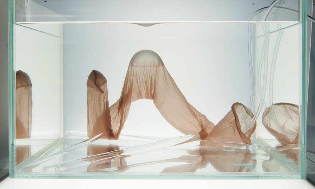 Strumpfhose in einem mit Wasser gefüllten Aquarium und einer eingeschlossenen Luftblase